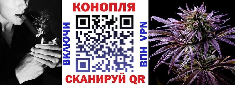Где купить наркоту Новороссийск Марихуана  APVP  ГАШ  Галлюциногенные грибы  Кокаин  АМФ 