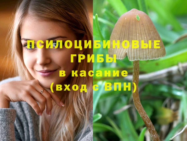 стаф Кукмор