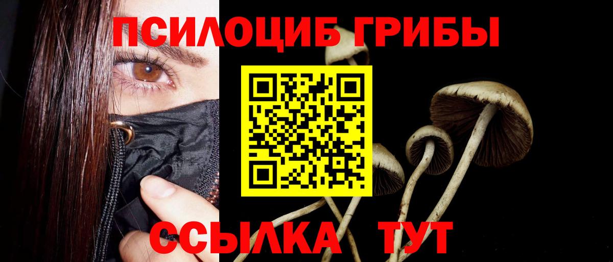 Новороссийск  Галлюциногенные грибы Magic Shrooms  Вход с VPN 